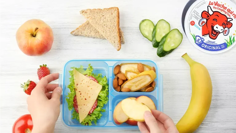 Healthy and Delicious Lunch Box Ideas for School and Work