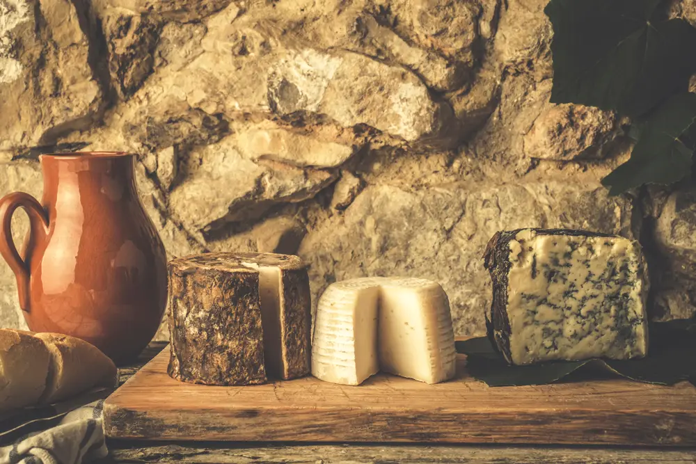 Exploring the History of Cheese: From Ancient Times to the Modern Era