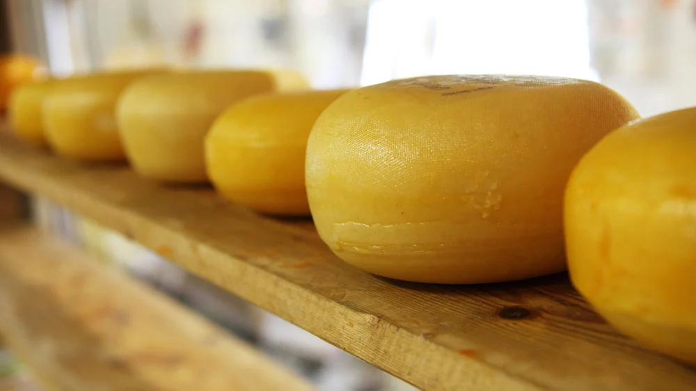 Get To Know Gouda Cheese, Its Characteristics and Benefits